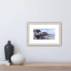 Old Sea Wall, Pittenweem - Image 4