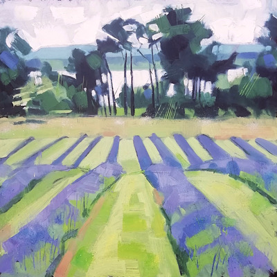 Lavender Fields