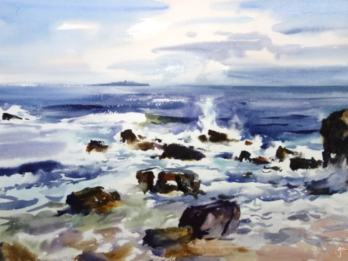 Incoming Tide and the Isle of May