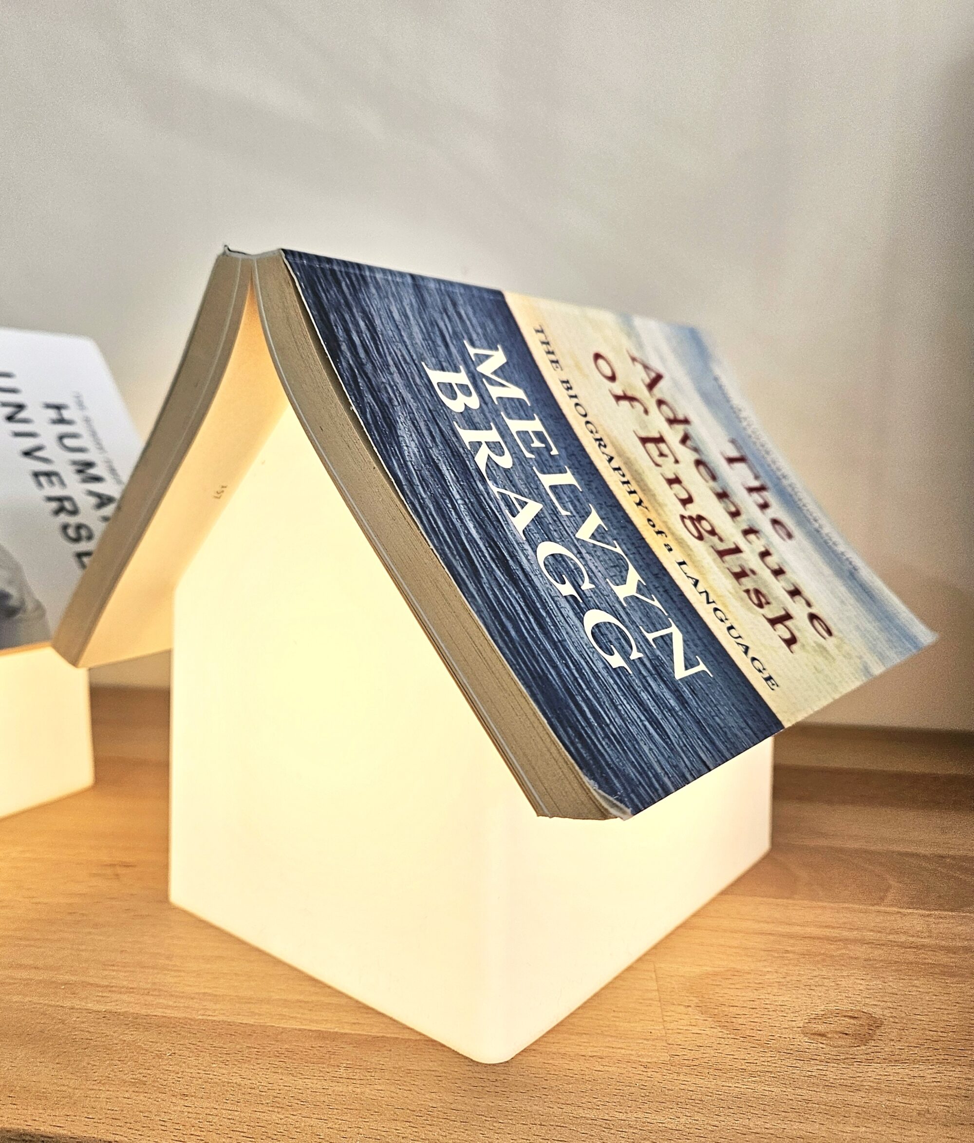 Book Rest Lamp - Image 4