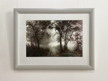 Walking in the Woods