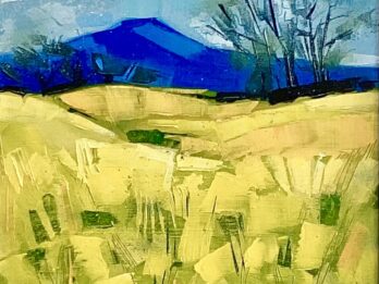 East Lomond & Yellow Field