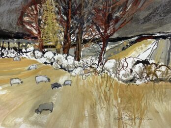 Grazing Sheep