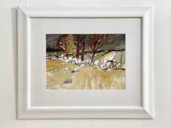 Grazing Sheep