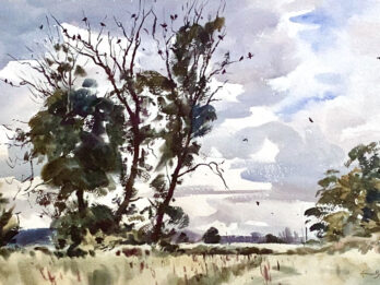 Rook trees near Boarhills