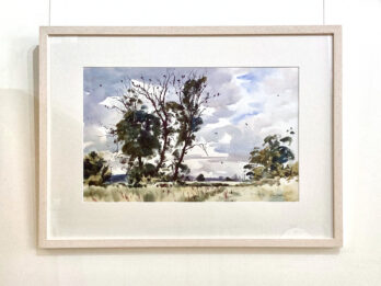 Rook trees near Boarhills