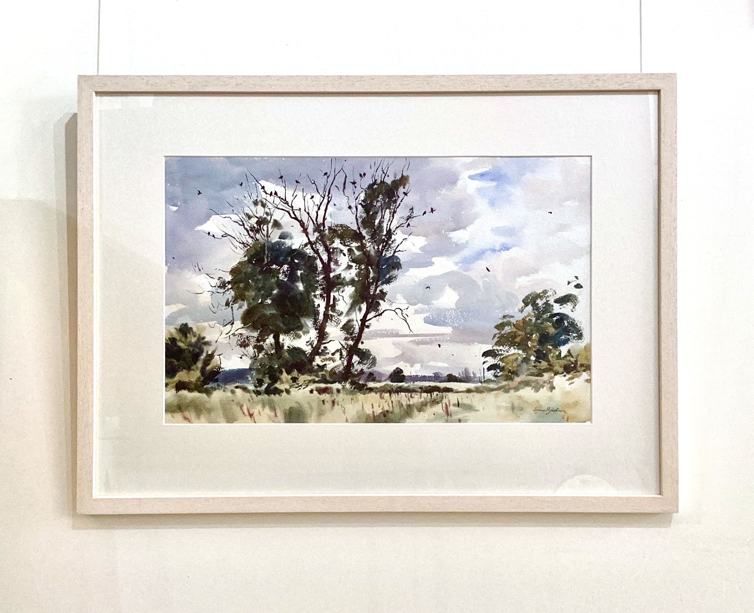 Rook trees near Boarhills - Image 2