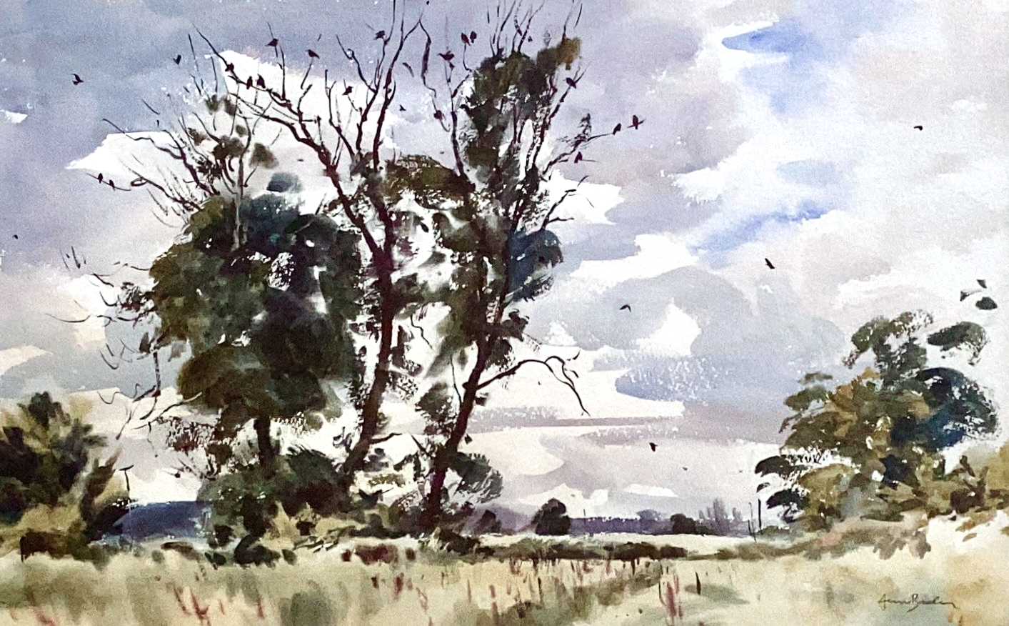 Rook trees near Boarhills
