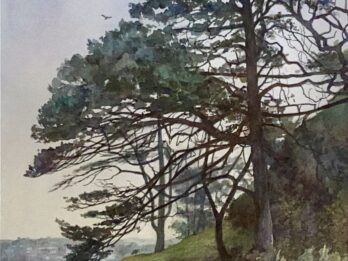 Aros Park, Mull