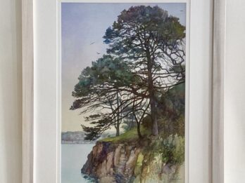 Aros Park, Mull