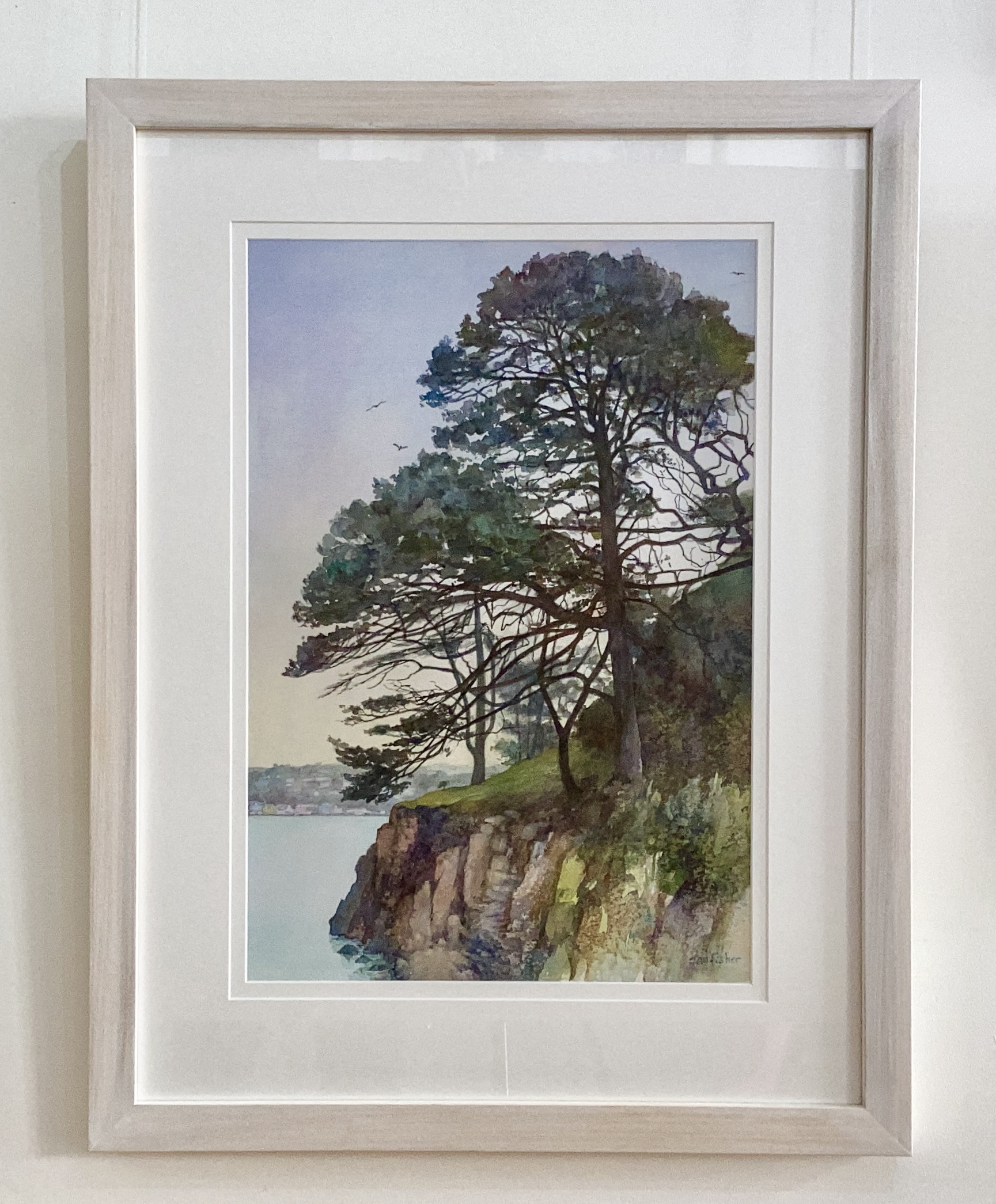 Aros Park, Mull - Image 2