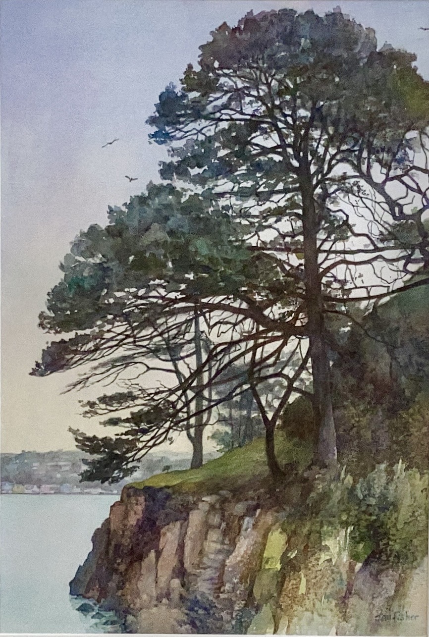 Aros Park, Mull